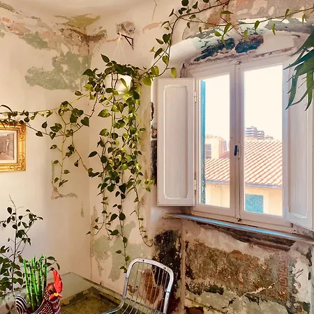 Appartamento Casa Mare Arte E Design Livorno